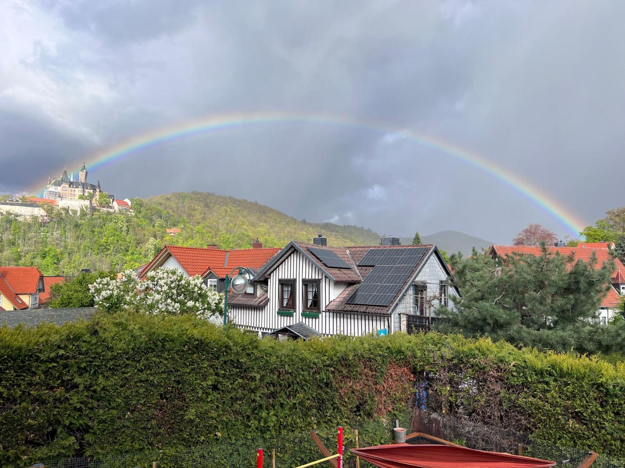 Ferienwohnung Kniep Wernigerode Buitenkant foto